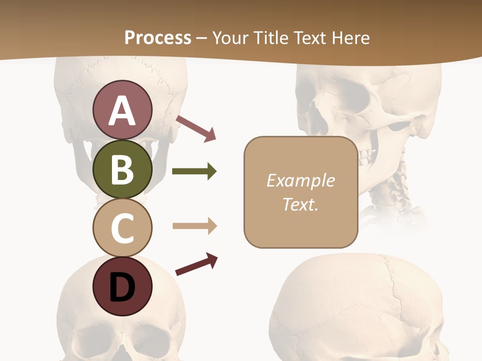 Teeth White Model PowerPoint Template