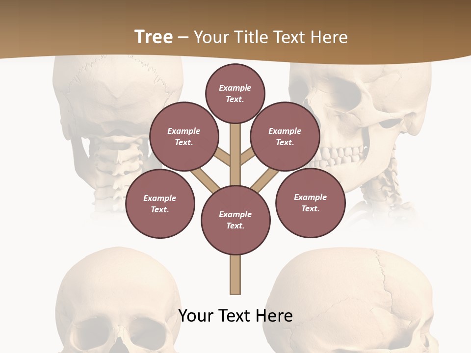 Teeth White Model PowerPoint Template