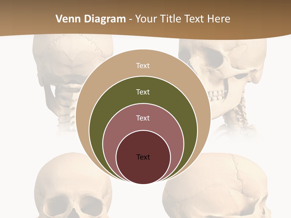 Teeth White Model PowerPoint Template