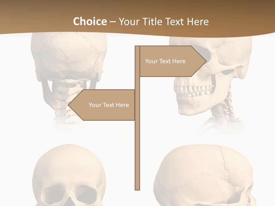 Teeth White Model PowerPoint Template