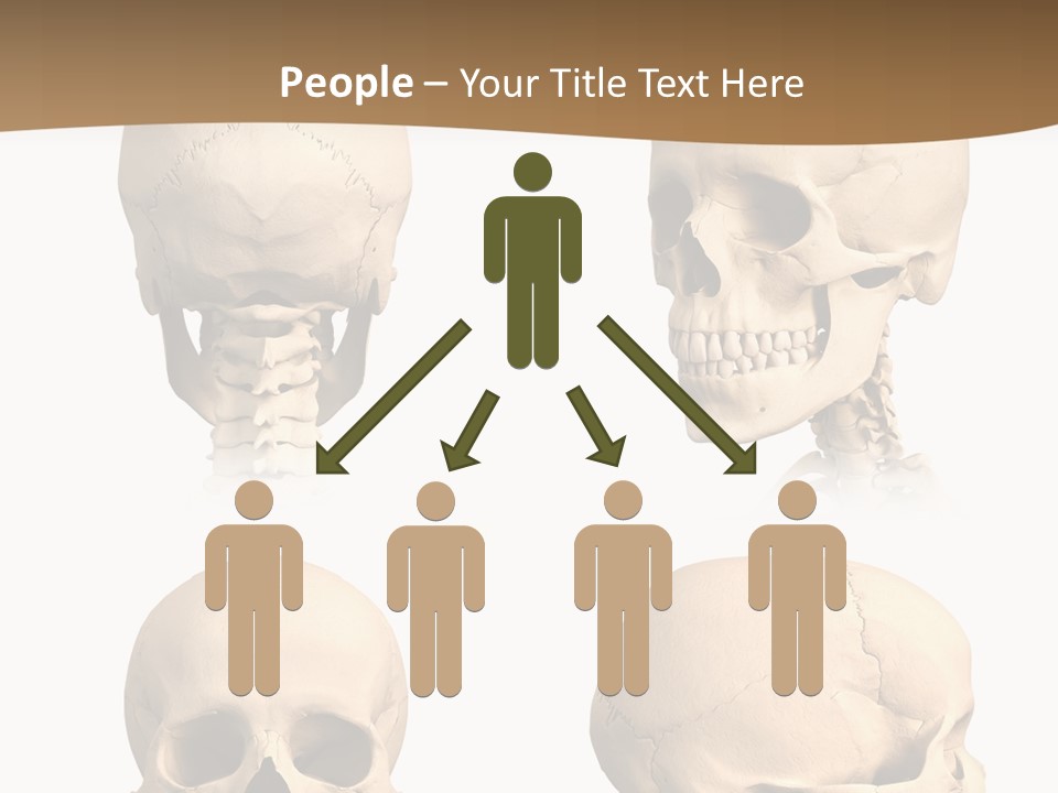 Teeth White Model PowerPoint Template
