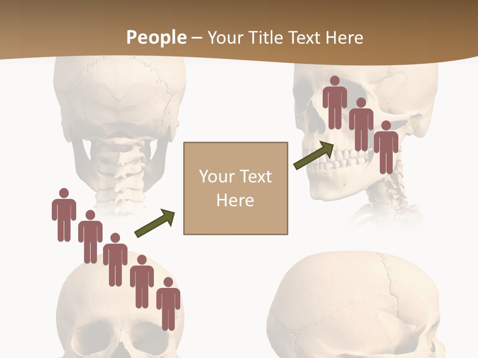 Teeth White Model PowerPoint Template