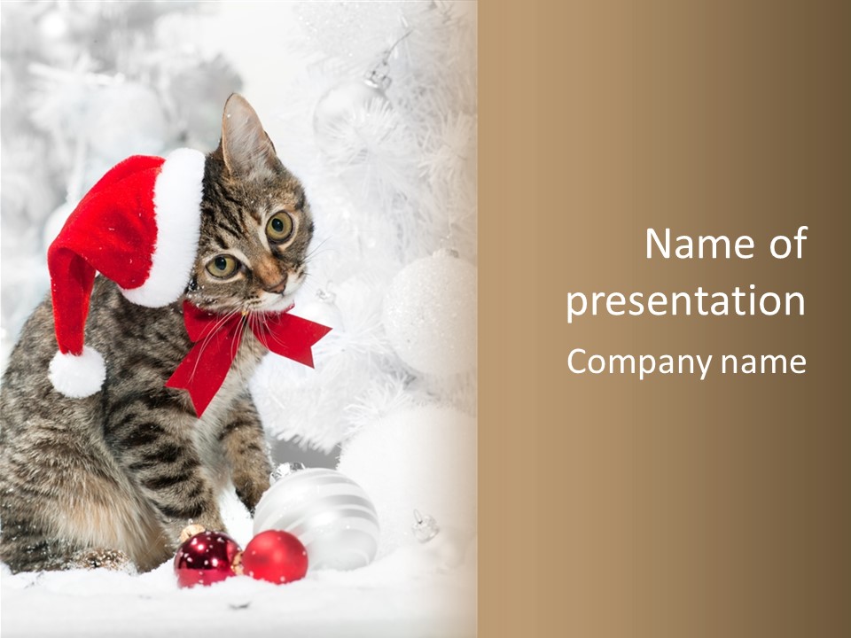 Merry Card Seasonal PowerPoint Template