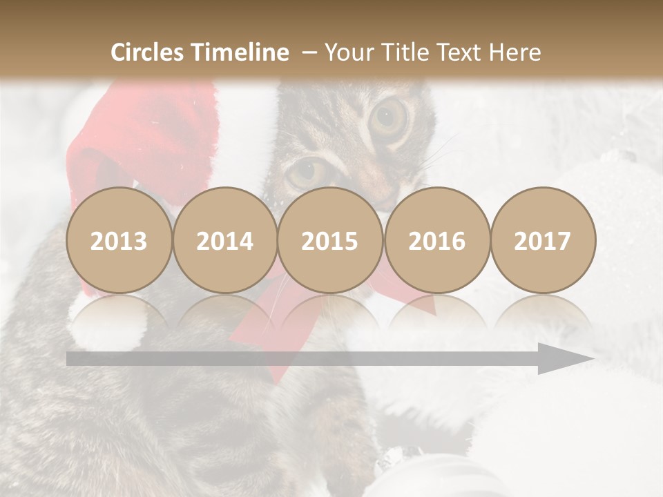 Merry Card Seasonal PowerPoint Template