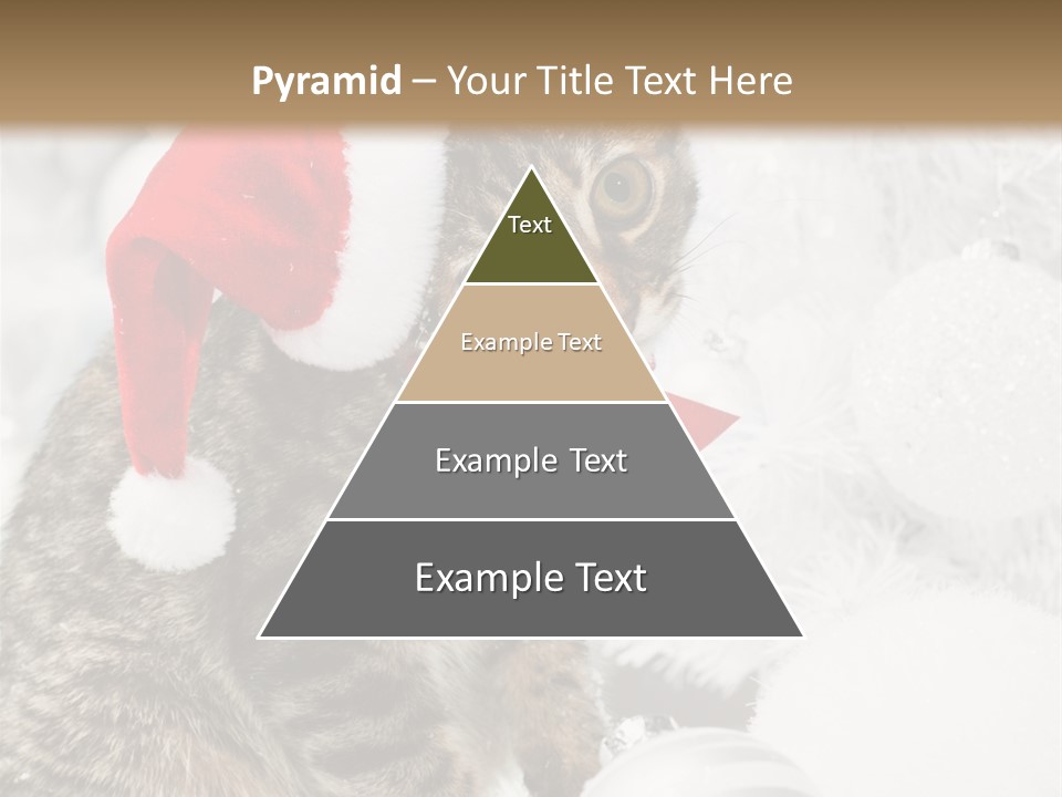 Merry Card Seasonal PowerPoint Template