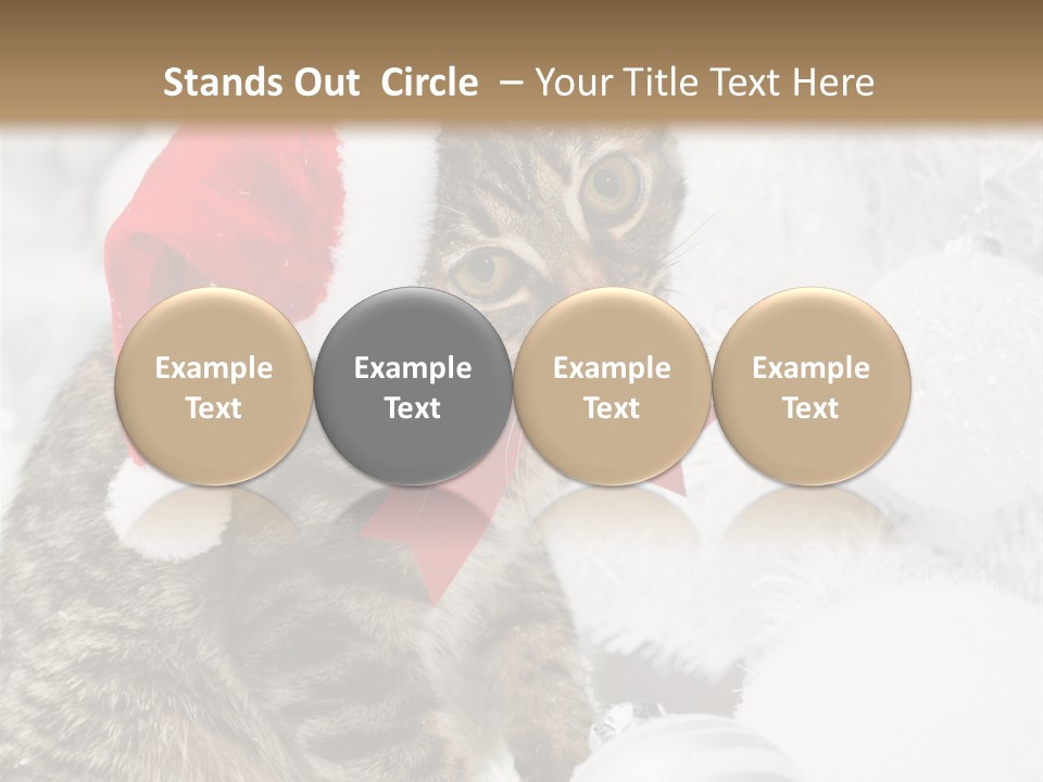 Merry Card Seasonal PowerPoint Template
