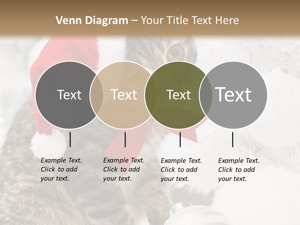 Merry Card Seasonal PowerPoint Template