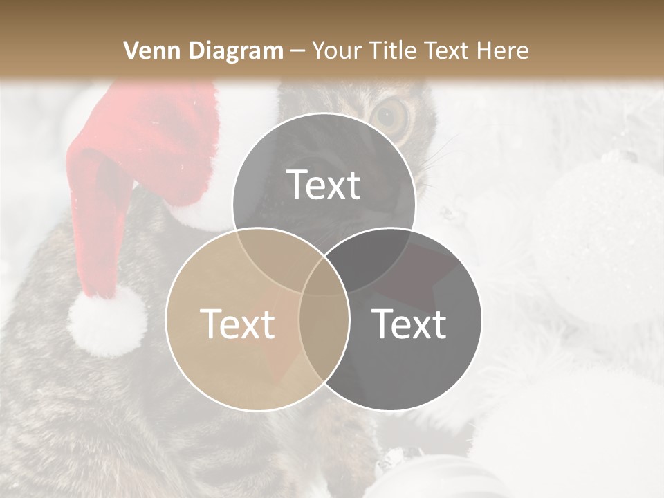 Merry Card Seasonal PowerPoint Template