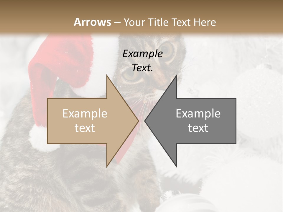 Merry Card Seasonal PowerPoint Template