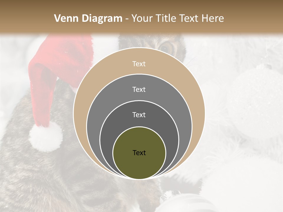 Merry Card Seasonal PowerPoint Template