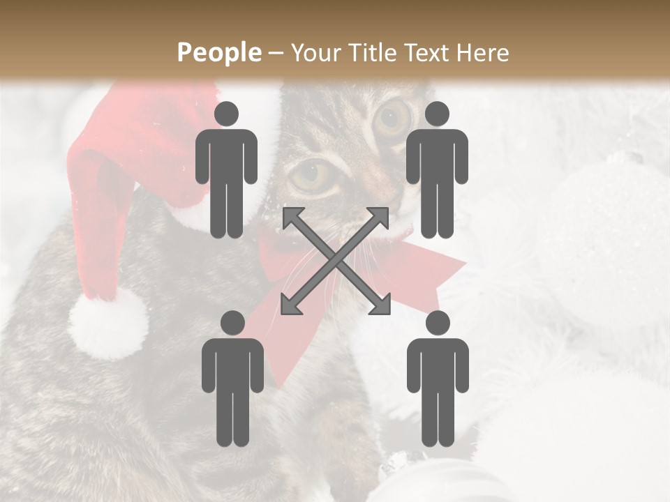 Merry Card Seasonal PowerPoint Template