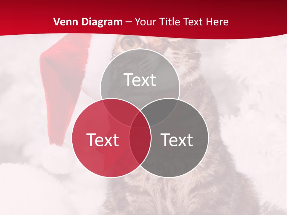 Domestic Looking Up Santa PowerPoint Template
