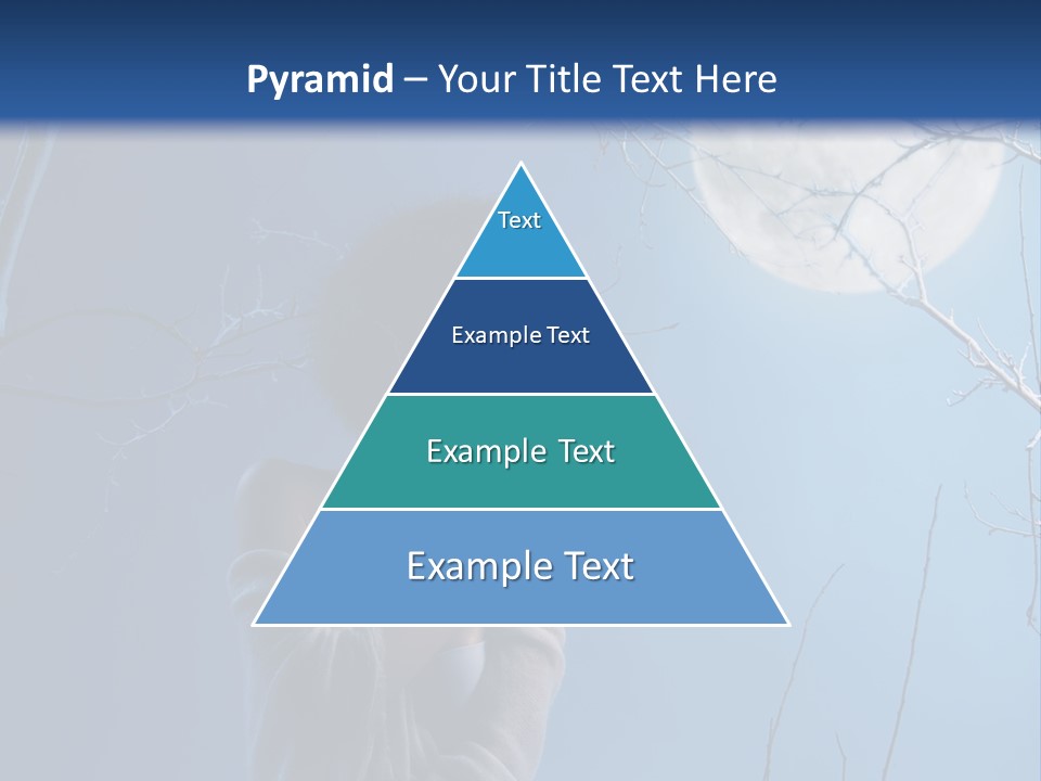 Portrait Twig Moonlight PowerPoint Template