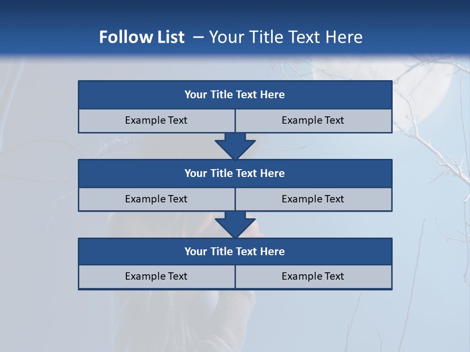 Portrait Twig Moonlight PowerPoint Template