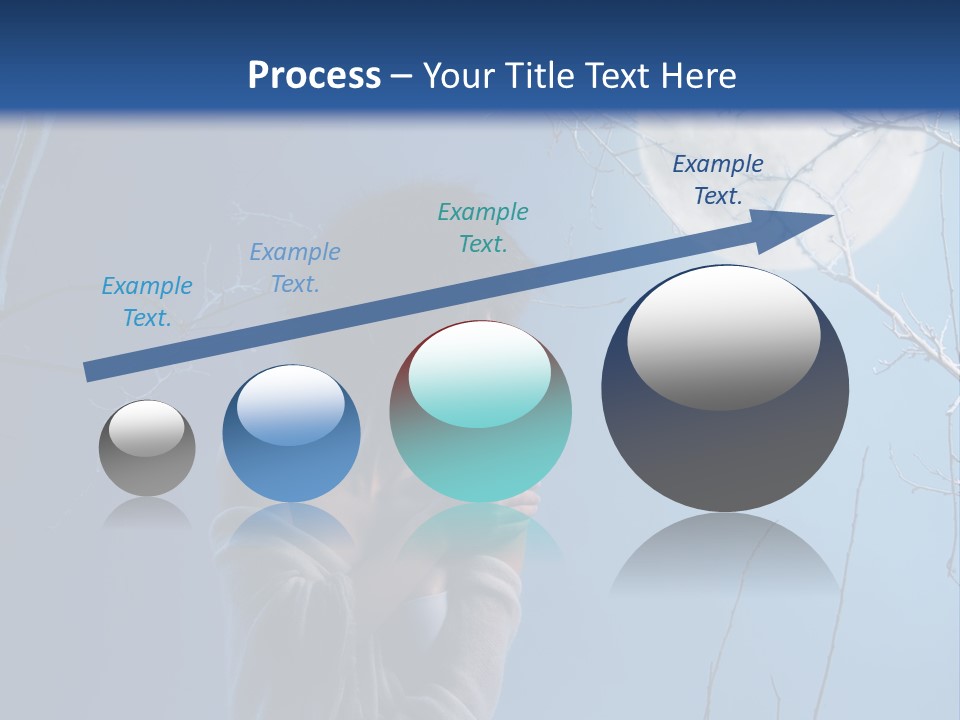 Portrait Twig Moonlight PowerPoint Template