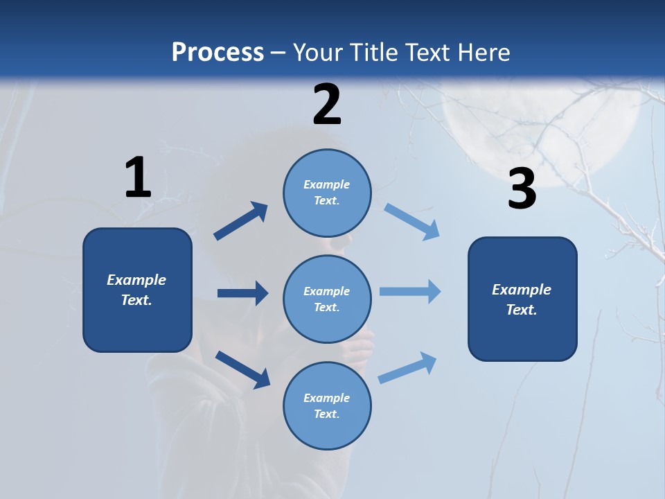 Portrait Twig Moonlight PowerPoint Template