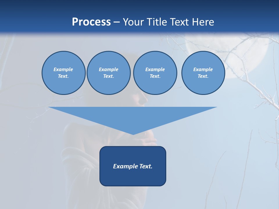 Portrait Twig Moonlight PowerPoint Template
