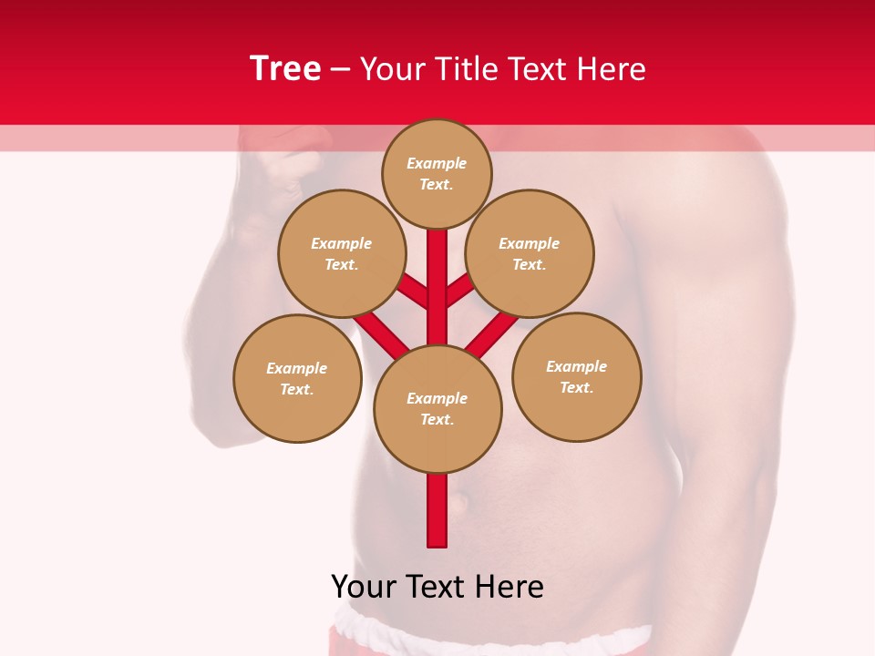 Box Fun December PowerPoint Template