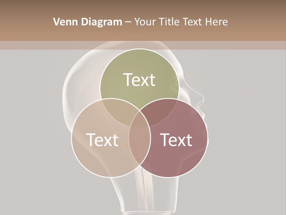 Wisdom Imagination Invention PowerPoint Template
