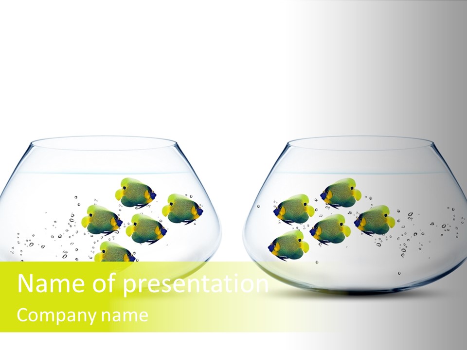 Meeting Activity Liquid PowerPoint Template