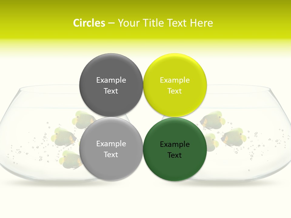 Meeting Activity Liquid PowerPoint Template