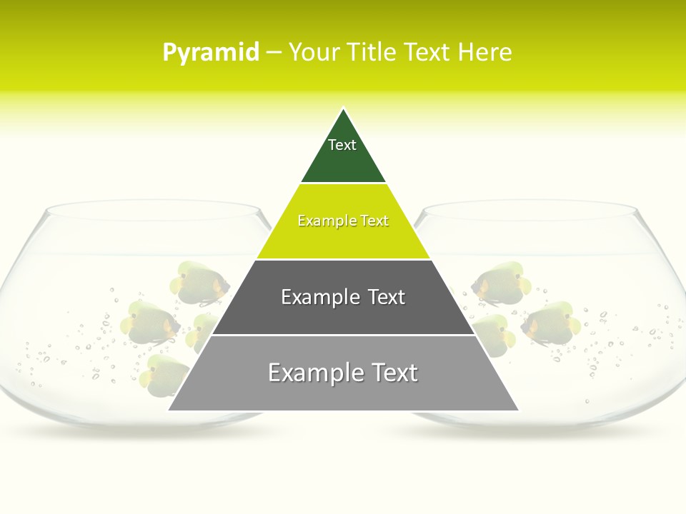 Meeting Activity Liquid PowerPoint Template