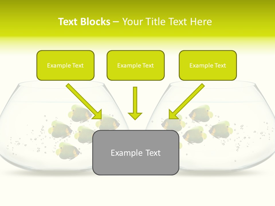 Meeting Activity Liquid PowerPoint Template