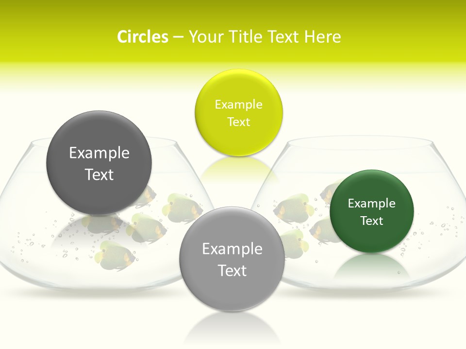 Meeting Activity Liquid PowerPoint Template