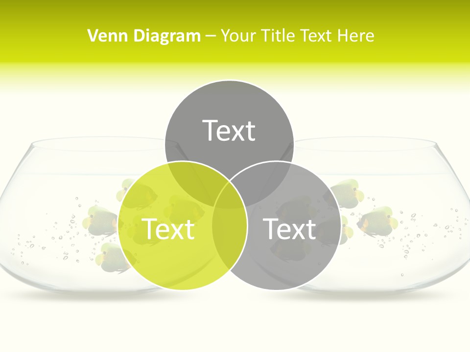 Meeting Activity Liquid PowerPoint Template