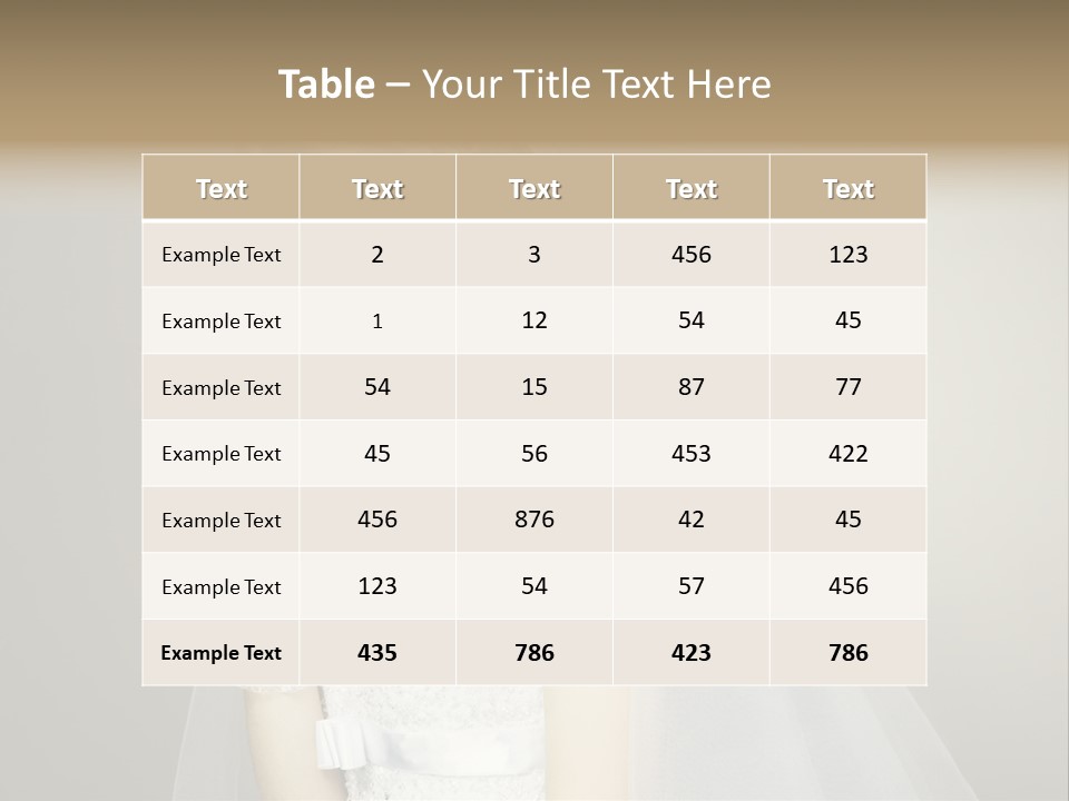 Pretty Caucasian Studio PowerPoint Template
