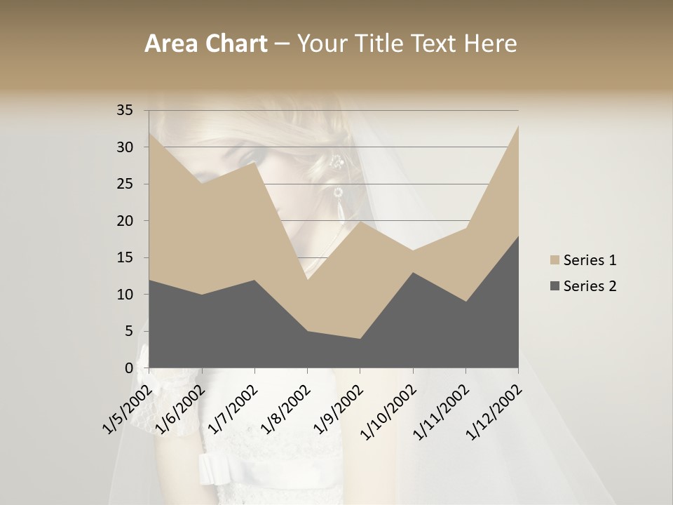 Pretty Caucasian Studio PowerPoint Template