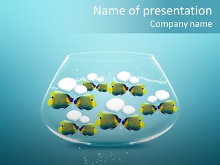 Business Concept Splash PowerPoint Template