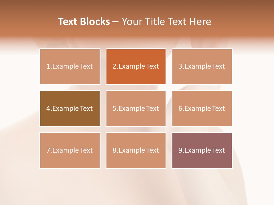 Care Leisure Perfection PowerPoint Template