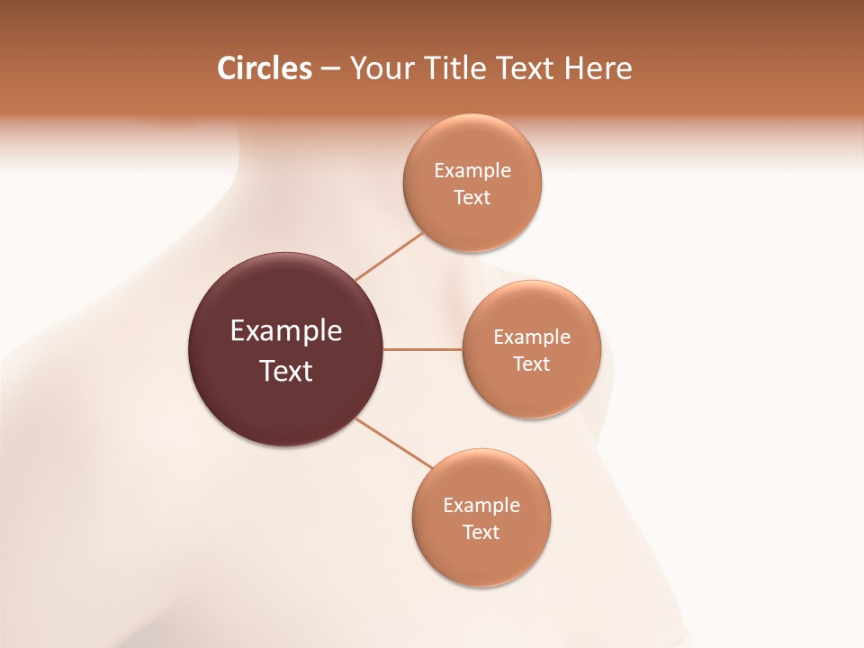 Cosmetics Beauty Tenderness PowerPoint Template