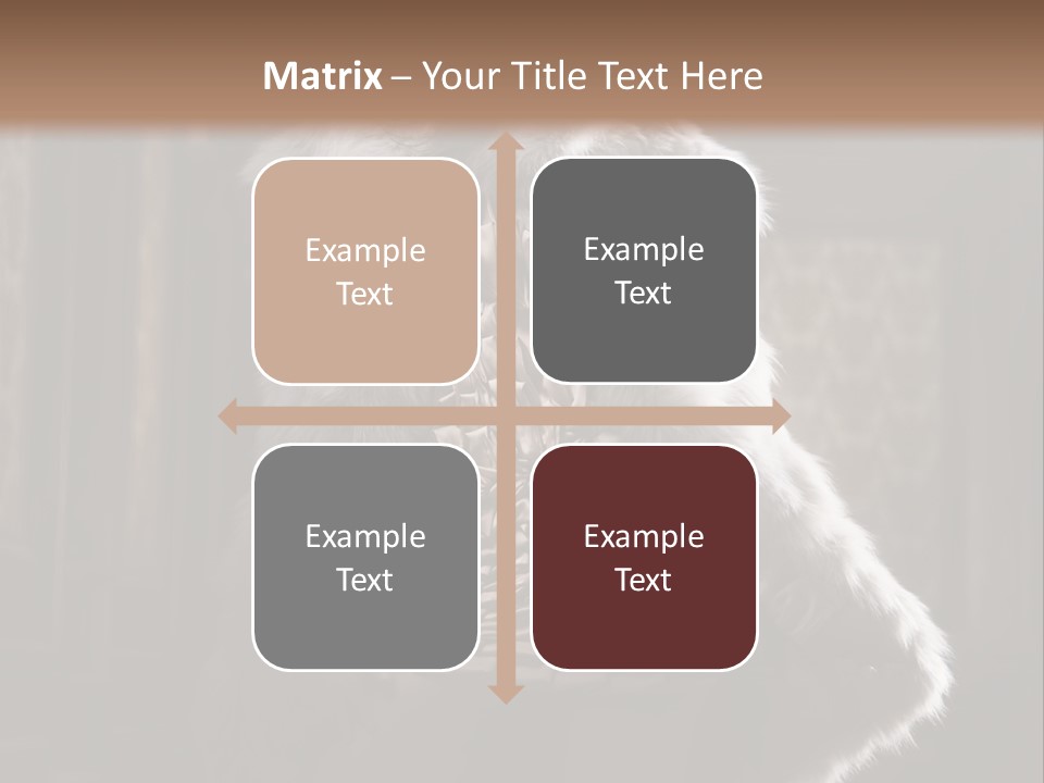 Seated Long Black PowerPoint Template
