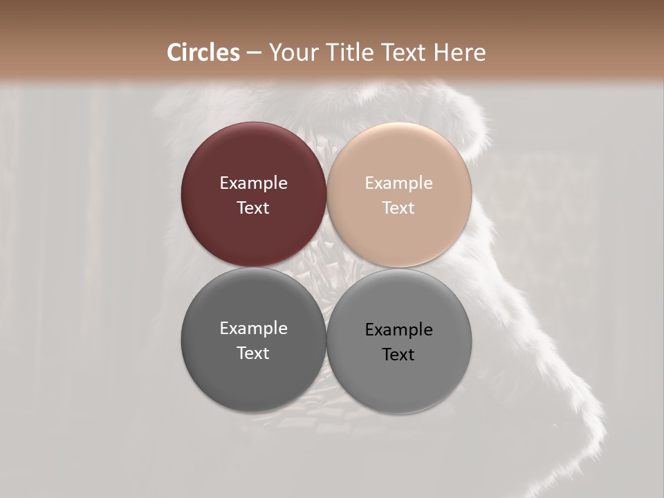 Seated Long Black PowerPoint Template