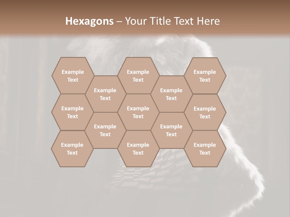 Seated Long Black PowerPoint Template