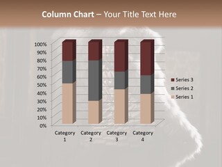 Seated Long Black PowerPoint Template