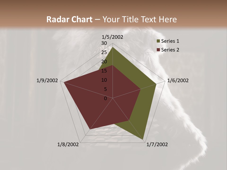 Seated Long Black PowerPoint Template