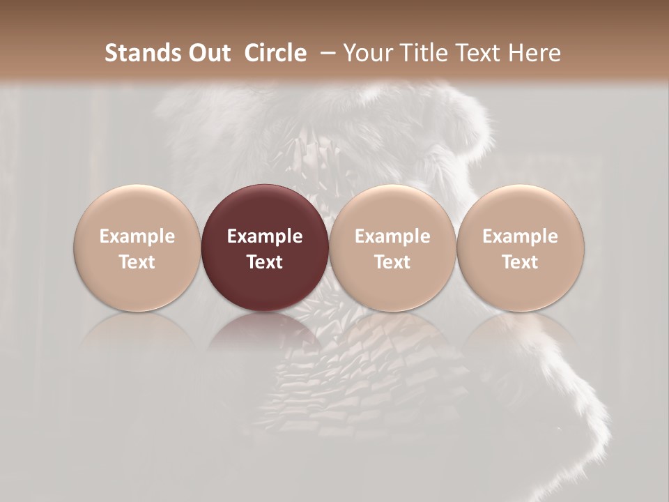 Seated Long Black PowerPoint Template