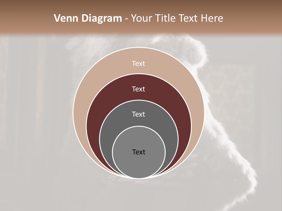 Seated Long Black PowerPoint Template