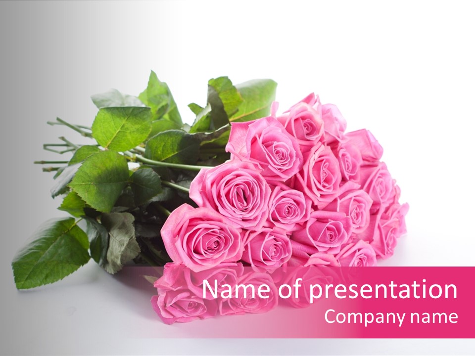 Colorful Pink Present PowerPoint Template