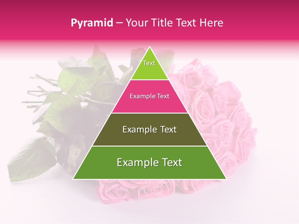 Colorful Pink Present PowerPoint Template