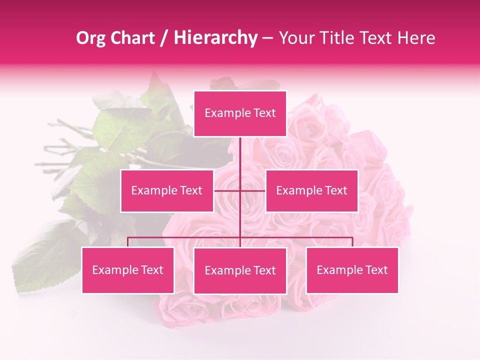 Colorful Pink Present PowerPoint Template