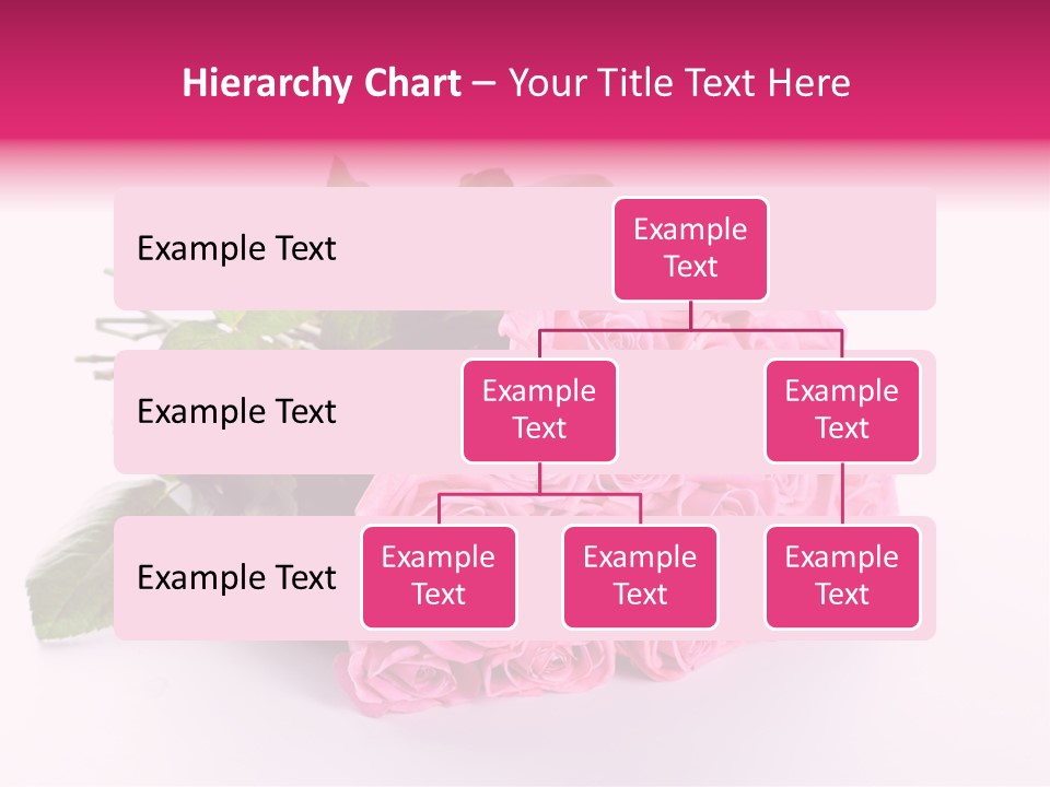 Colorful Pink Present PowerPoint Template