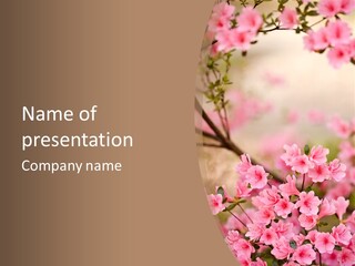 Selective Focus Pink Nature PowerPoint Template