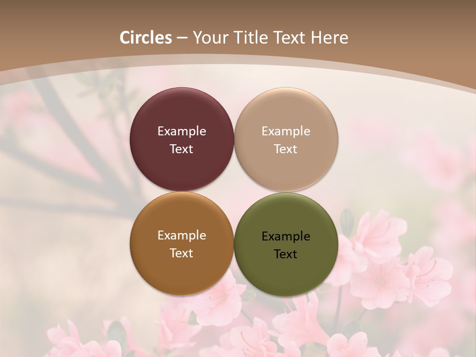 Selective Focus Pink Nature PowerPoint Template