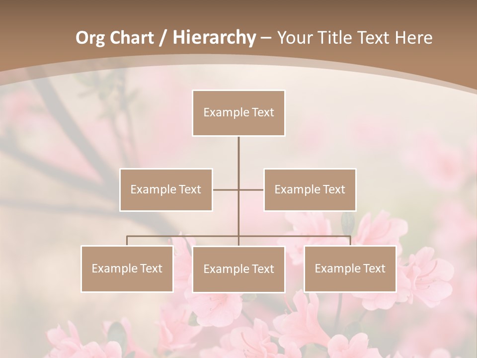 Selective Focus Pink Nature PowerPoint Template