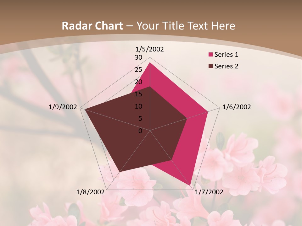 Selective Focus Pink Nature PowerPoint Template