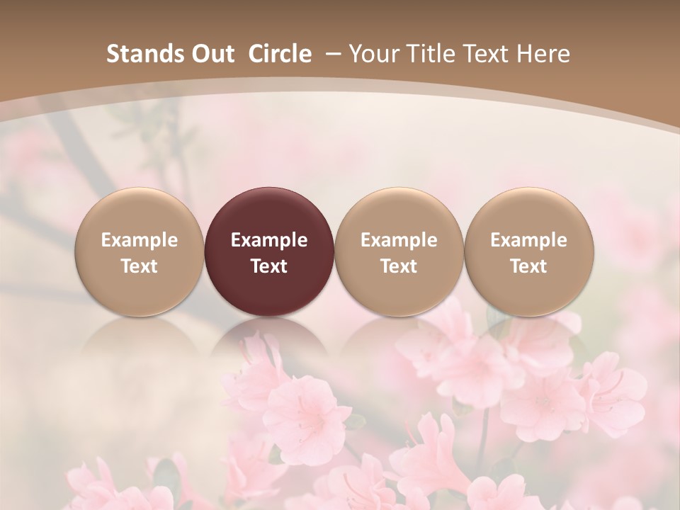 Selective Focus Pink Nature PowerPoint Template